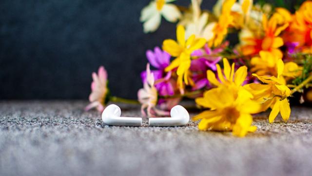 allbet小海豚耳机体验：小身材大音质，AirPods百元平替